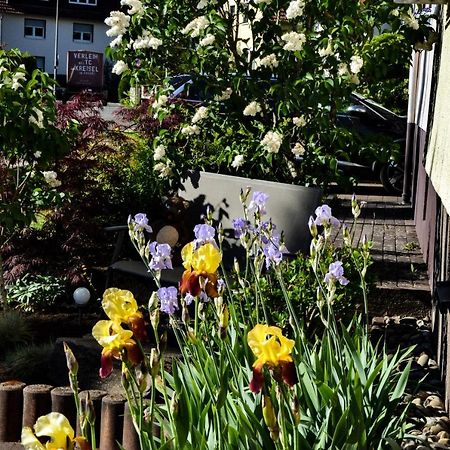 Ferienwohnung Jungbaer - Die Wohlfuehl-Adresse Im Stangenwald Занкт-Інґберт Екстер'єр фото